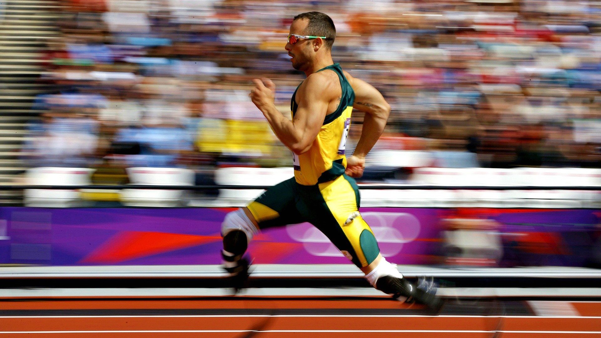 体育赛事数字化管理平台开发，体育数字化改革方案