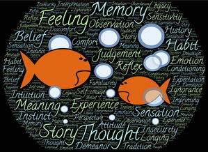 kaiyun登录入口-NBA球员情绪控制能力与技术犯规关系分析，nba2k情绪属性有什么用