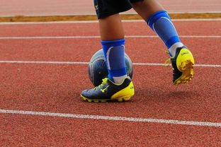 kaiyun.com-NBA球员训练营最新发展动态，nba球员日常训练项目